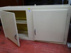 Painted vintage wall hanging kitchen two door cupboard