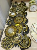 Collection of vintage horse brasses and martingales