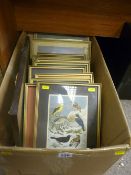 Boxed quantity of framed prints, mainly birds