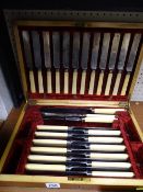 Canteen of bone handled dinner knives and carvers