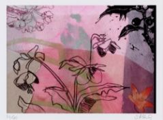 SUE HUNT (b. 1959) digital collage limited edition (36/40) - botanical study, entitled 'Christmas