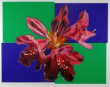 IAN JACOB hand finished digital print 1/25, entitled 'Picton Surprise', signed, 58 x 74cms www.