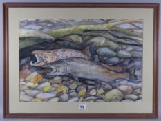 NEIL DALRYMPLE mixed media - two spawning salmon on a stoney river bed, signed and indistinctly