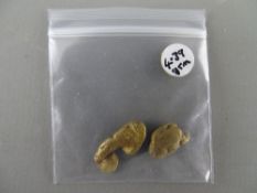 CLOGAU GOLD two nuggets, 4.39 grms