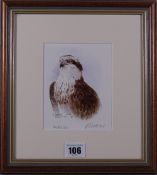 PHILLIP SNOW coloured limited edition (208/450) print - an alert osprey, signed, 13 x 10 cms