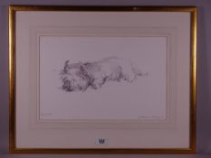 WILLIAM SELWYN limited edition (161/500) print - sleeping West Highland terrier, 24 x 37 cms