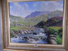 PHILLIP STANTON oil on canvas - Snowdonia riverscape, signed in full, 39 x 49 cms