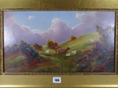 THOMAS FINCHETT oil on canvas - Highland scene with sheep and lambs, signed, 24 x 45 cms