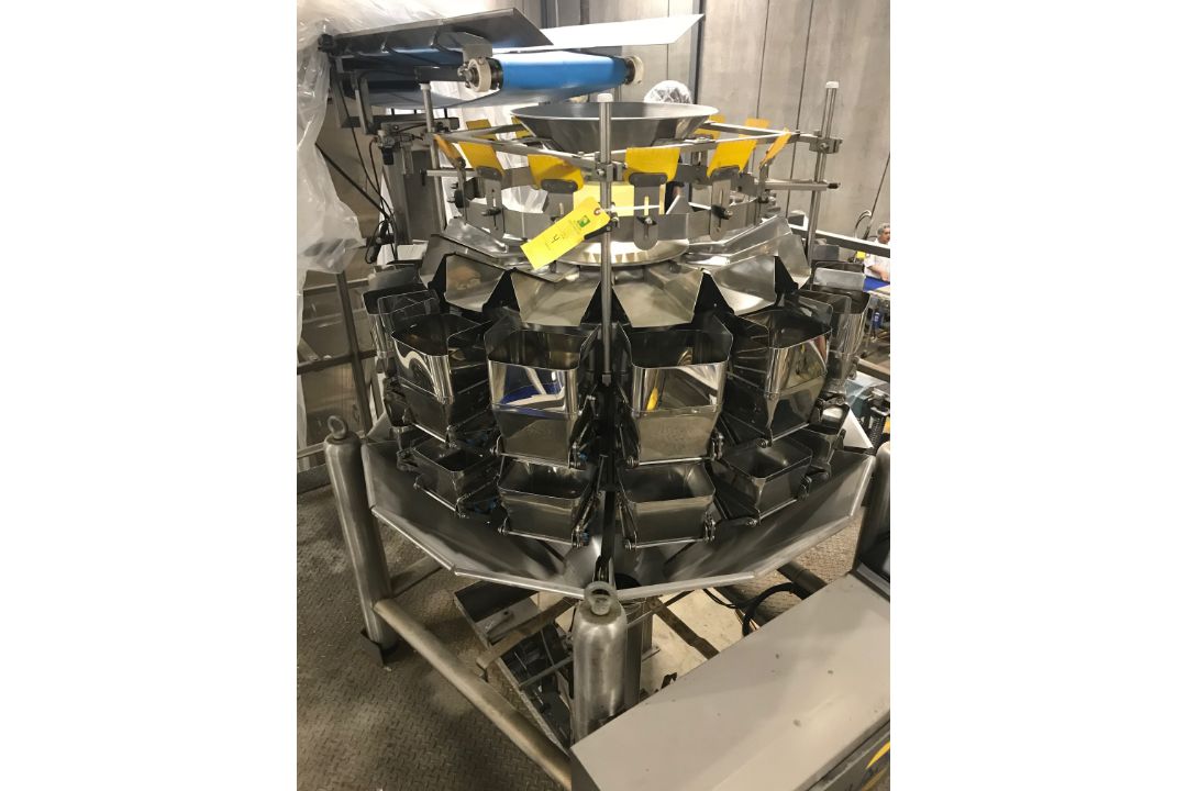 Ilapak Weightronic 14-30 EDA Weigher, 14 Heads, 60 HZ, Single Phase, 230 Volts, Serial# 0680880028; - Image 2 of 6