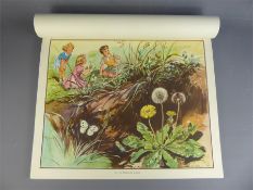 The Enid Blyton Nature Plates.