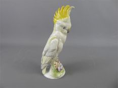 A Sitzendorf Porcelain Cockatoo