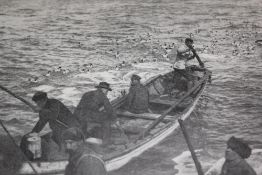 Victorian Scientific Exploration Literature