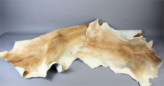 Four Cow Hides