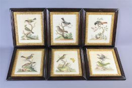 George Edwards,'The History of Birds'