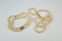 A Double Strand Cultured Pearl Bracelet