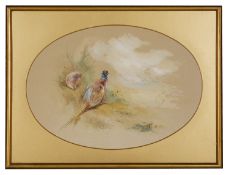 A watercolour study of a hen and cock pheasants signed James Stinton