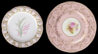 A Royal Worcester cabinet plate (2)