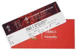 **Wales vs. South Africa Rugby Game With Richard Madley