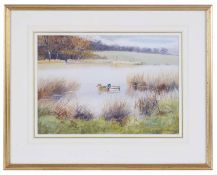 R Robgent (British, b.1937) 'Shoveler & Gadwall on the water', watercolour