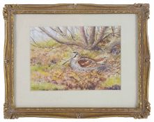 Richard Robgent (British, b.1937) 'Hen Woodcock in woodland', watercolour
