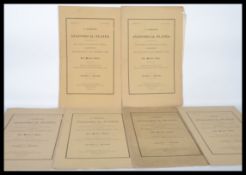 A series of anatomical plates in lithography with references and physiological documents