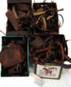 THE GENTLEMAN WHO TAUGHT QUEEN ELIZABETH TO RIDE H