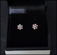 A pair of white gold and diamond daisy cluster earrings complete in presentation box.