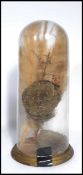 A 19th century Victorian taxidermy interest glass dome and base containing a preserved bee's hive