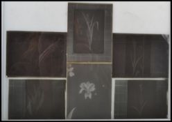 A collection of 19th century magic lantern slides mainly of childrens nursery rhyme  scenes etc