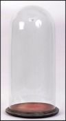 A 19th century Victorian large and tall glass dome raised on a circular wooden plinth base.