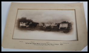 CATTLE. 1839 Oxford Royal Show.Four First cows & b