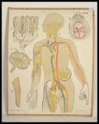 A vintage mid 20th century coloured lithograph of