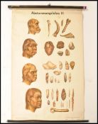 A German 1990's educational canvas backed chart on human progression / evolution marked ' volk und