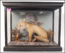 Taxidermy Interest - Circa 1910 - A Victorian early 20th Century VIxen and Kingfisher on a