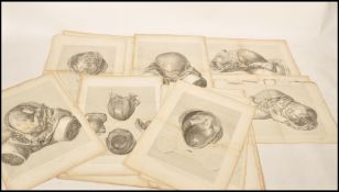 William Hunter - The Anatomy Of The Human Gravid Uterus ( 1851 ) - A collection / series of 23x