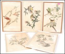 Andubon, John : Collection of five antique coloure