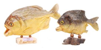 TAXIDERMY DRIED PIRANHA FISH SPECIMENS