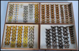 A good collection of vintage taxidermy butterflies held within two wooden cases with hook locks.