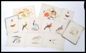 A collection of late 19th Century / early 20th Century hand coloured lithographs botanical prints,