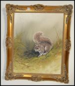 Mike Nance - An oil on canvas painting depicting a squirrel in typical setting be set in an ornate