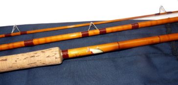 B James Avon rod: In Association with Bruce & Walker Compound Taper Mk. IV Richard Walker Avon glass