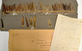 Original Baigent Colour Chart being a catalogue of actual feathers from Old English Game cockerels -