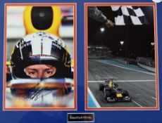Formula One Sebastian Vettel Signed Print a display depicting Vettel and the Red Bull racing car