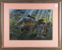 Carp Oil Painting: 