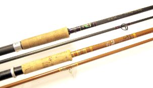 Spinning Rods (2): Daiwa 