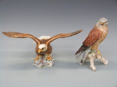 A Beswick model of a bald eagle and a Goebel model of a kestrel