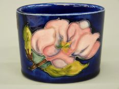 Moorcroft cache pot in the Hibiscus pattern,