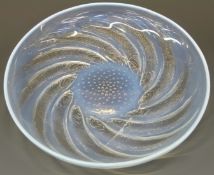 Lalique Poisson opalescent glass charger decorated with spiralling fish, 29.5cm in diameter.