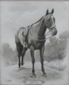 H Collier pencil and sepia wash of a horse entitled 'Skate', signed lower left,