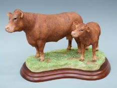 Border Fine Arts Limousin cow and calf